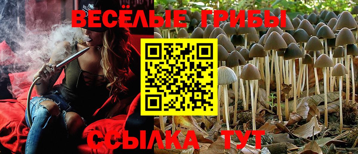 Псилоцибиновые грибы мухоморы Морозовск